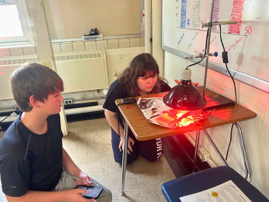 Students are watching the heat lamp. One student is timing to watch the affect of heat over a period of time.