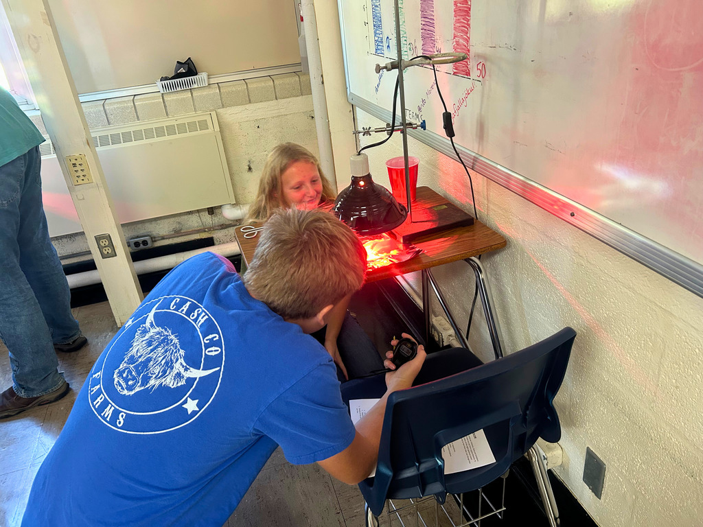 Students are watching the heat lamp. One student is timing to watch the affect of heat over a period of time.