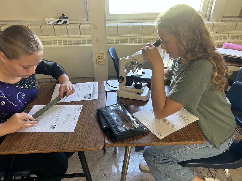 A student is looking through the microscope. Another student is using a ruler.
