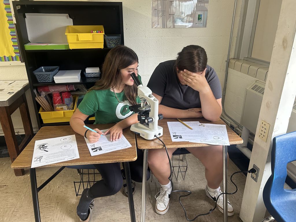 A student is looking through the microscope. Another student is looking down.