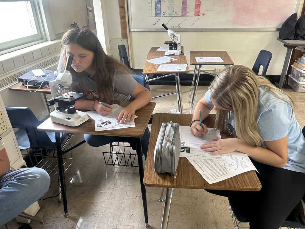 A student is looking through the microscope. Another student is writing.