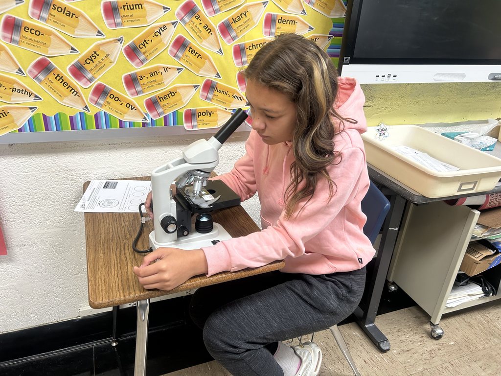 A student is looking through the microscope.