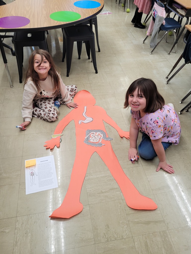 Students are sitting by their paper human. They have added the items in the digestive system.