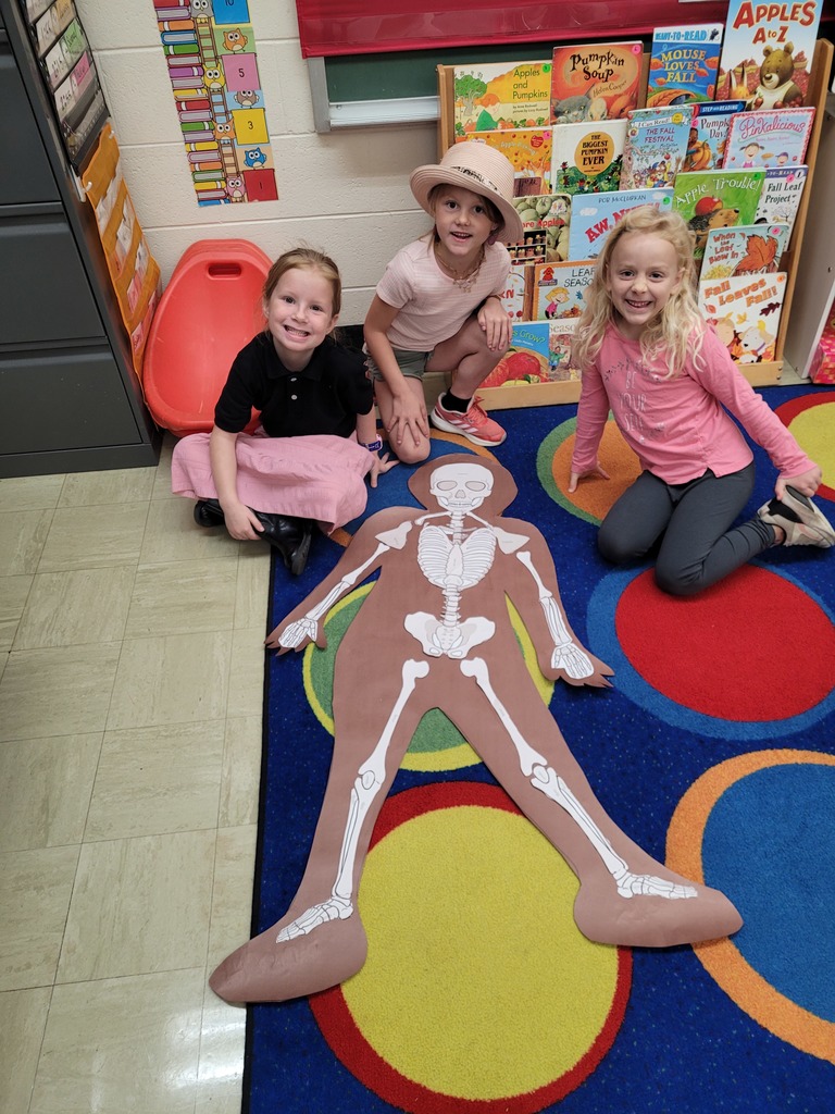 Students are sitting by their paper human. They have added the items in the skeletal system.