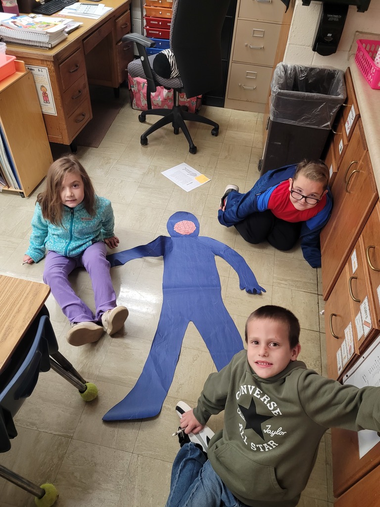 Students are sitting by their paper human. They have added the items in the nervous system.