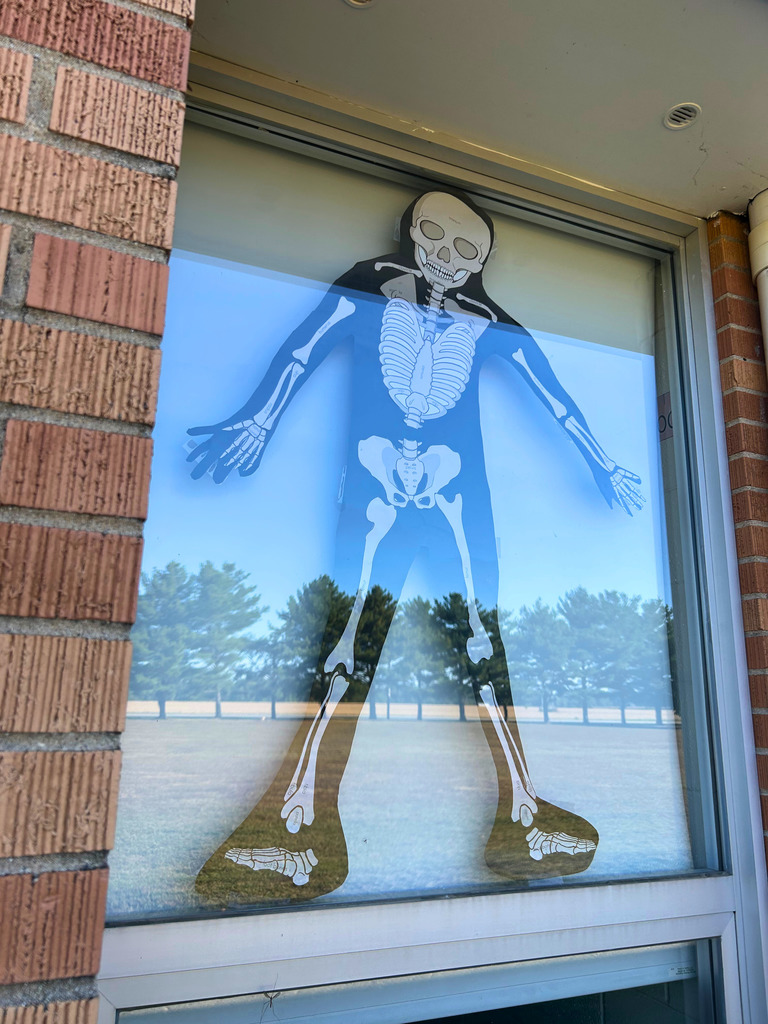 The skeletal system of one of the classes is hanging in the window.