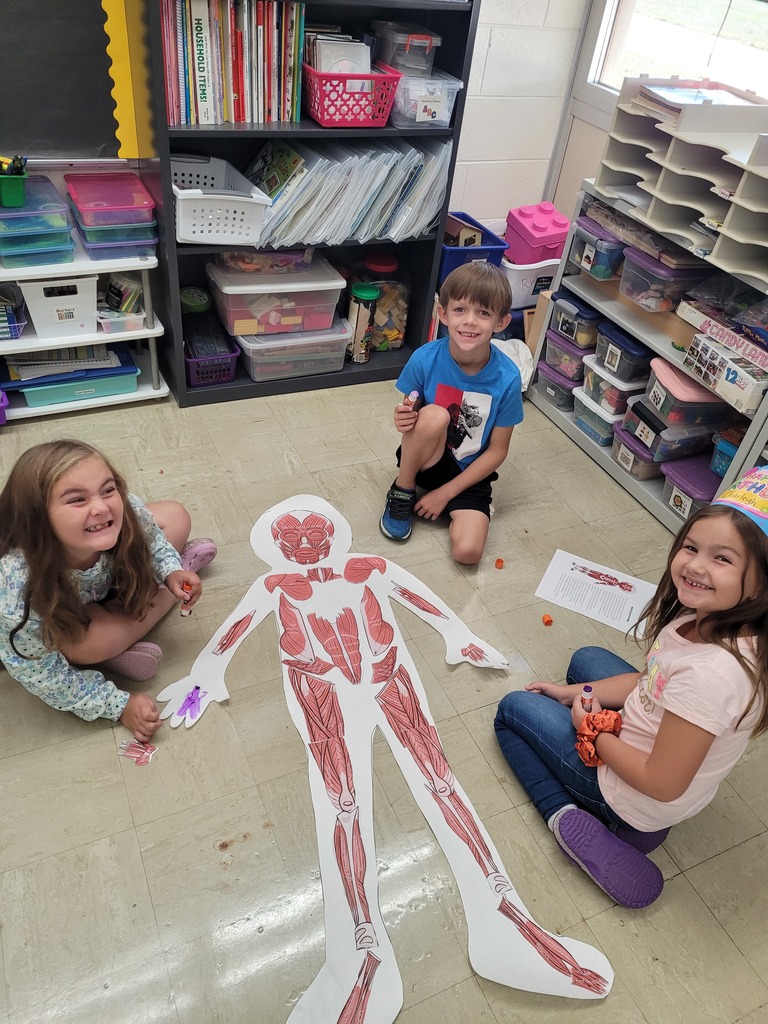 Students are sitting by their paper human. They have added the items in the muscular system.