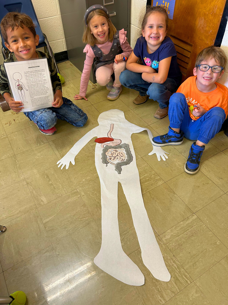 Students are sitting by their paper human. They have added the items in the digestive system.