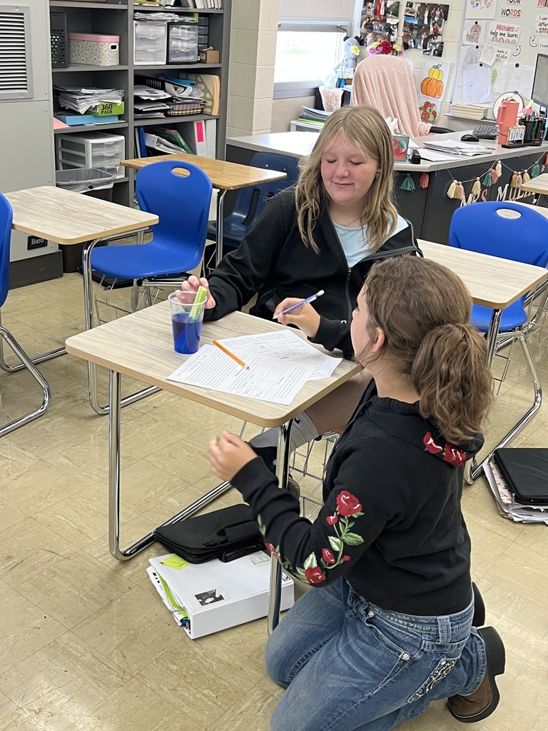 Two students are filling out their worksheet. They are observing a celery stalk in a cup of blue dyed water. 