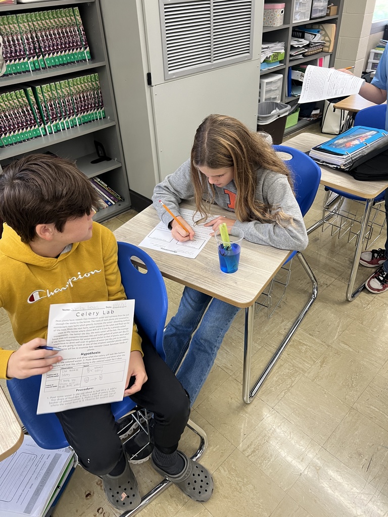 Two students are filling out their worksheet. They are observing a celery stalk in a cup of blue dyed water. 