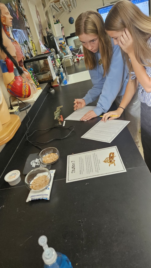 Two students are standing at the counter. They are writing and  looking at jars of mealworms.