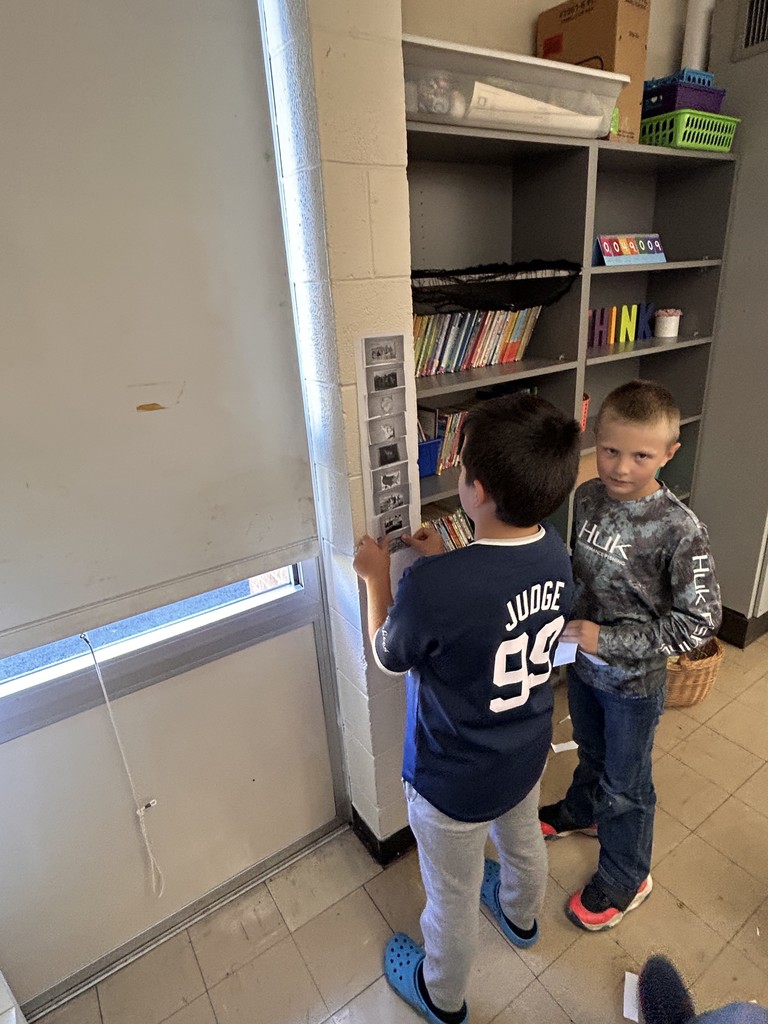 Students are standing at the wall. They are sorting Illinois history timeline.