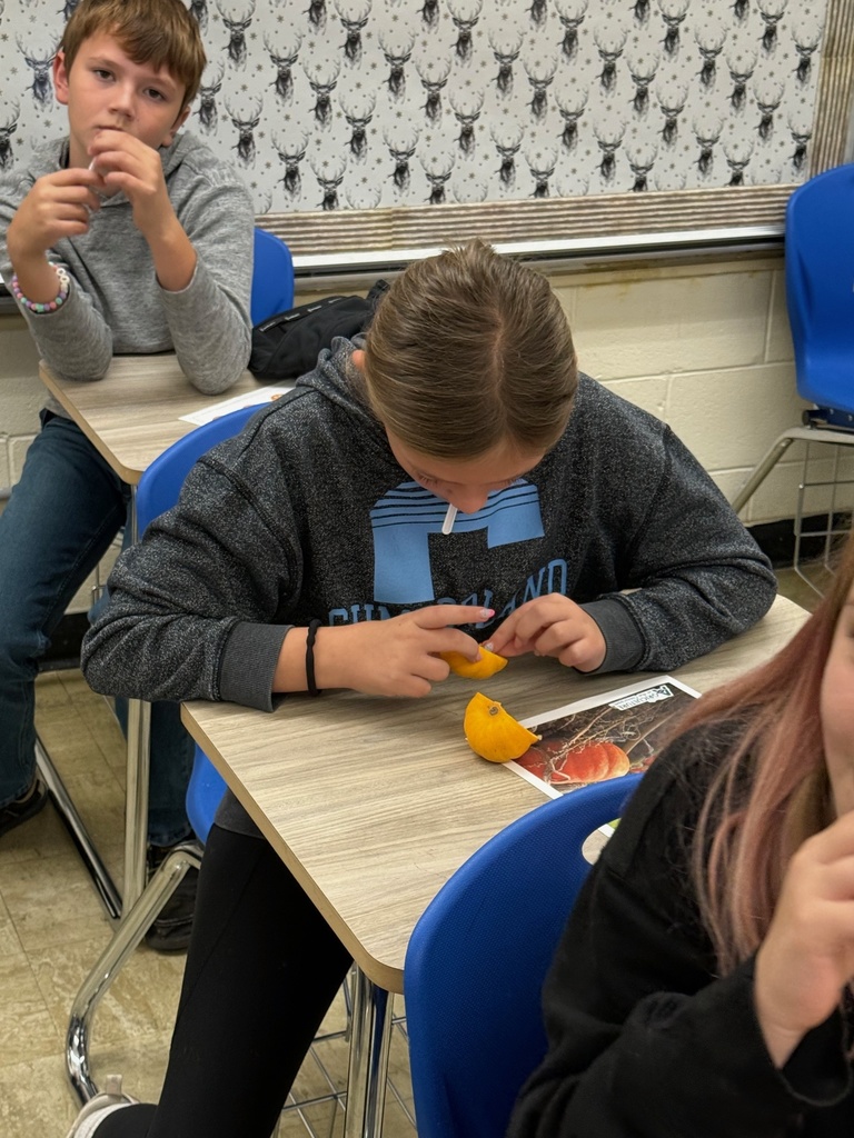 A student is sitting at a desk looking at two mini halves of pumpkins. The student has a mini spoon in her mouth.