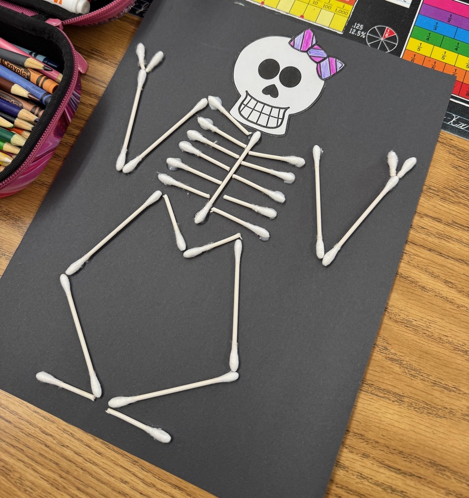 This is an image of a finished skeleton. 