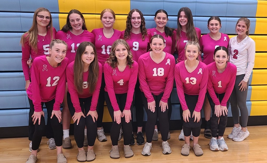 This is a picture of the volleyball team standing in front of the bleachers. They are wearing pink jerseys.