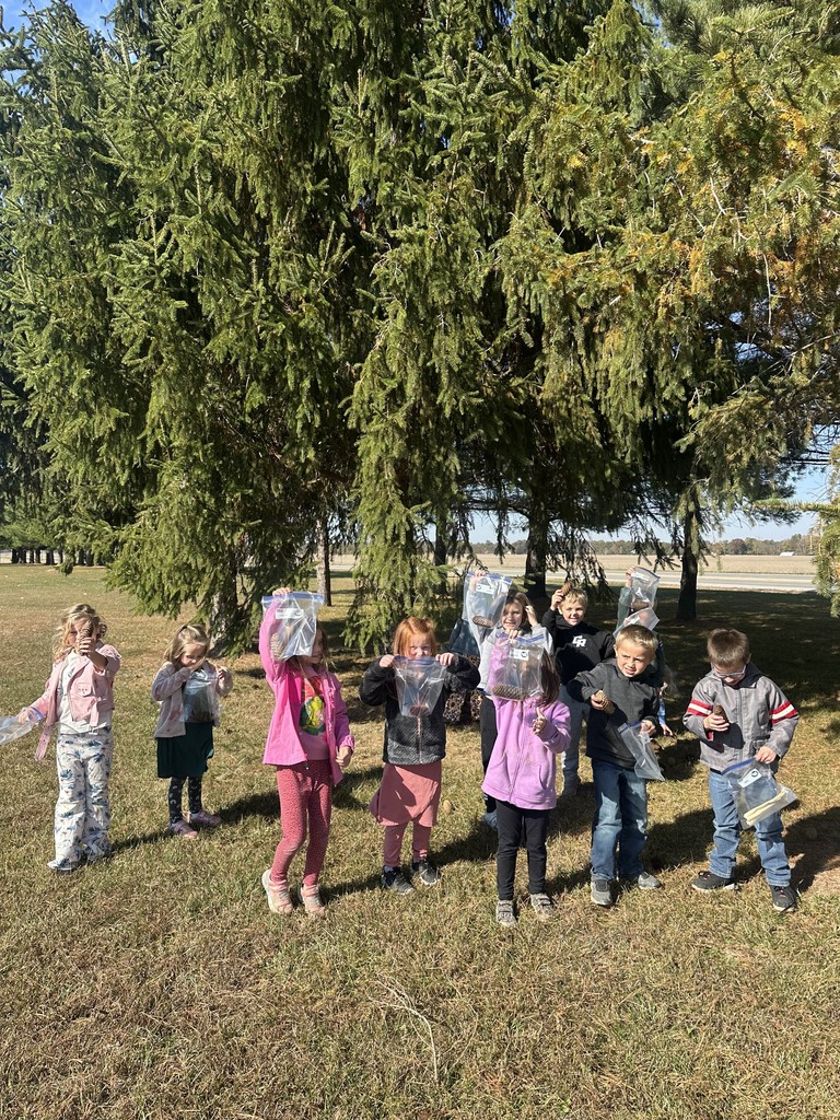 The students are standing in front of the trees. They are adding pinecones to their bags.