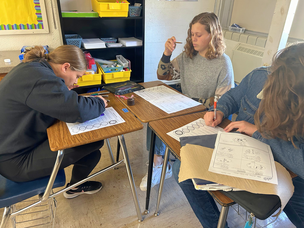 Students are sitting at their desks with the cookies and decorating supplies near. The students are using the decorations to create a stage of mitosis. They are also referring to their papers to do the project. 