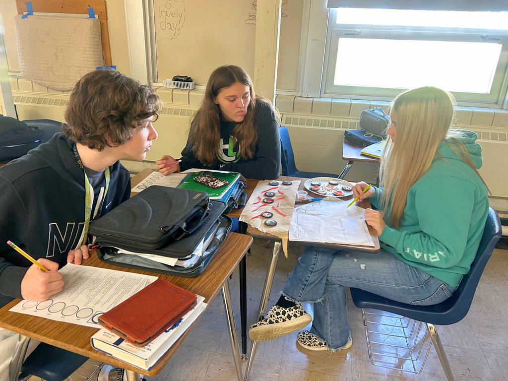 Students are sitting at their desks with the cookies and decorating supplies near. The students are using the decorations to create a stage of mitosis. They are also referring to their papers to do the project. 