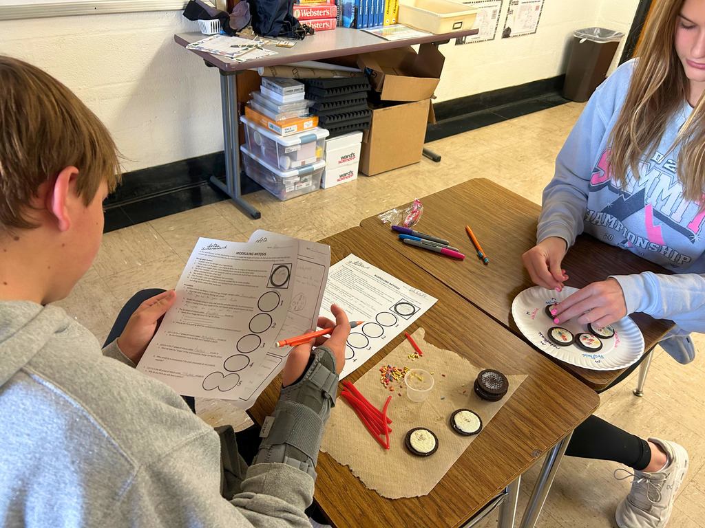 Students are sitting at their desks with the cookies and decorating supplies near. The students are using the decorations to create a stage of mitosis. They are also referring to their papers to do the project. 