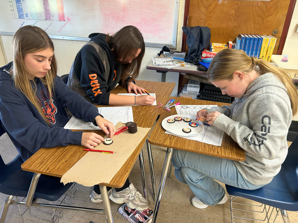 Students are sitting at their desks with the cookies and decorating supplies near. The students are using the decorations to create a stage of mitosis. They are also referring to their papers to do the project. 
