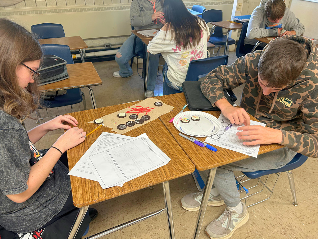 Students are sitting at their desks with the cookies and decorating supplies near. The students are using the decorations to create a stage of mitosis. They are also referring to their papers to do the project. 