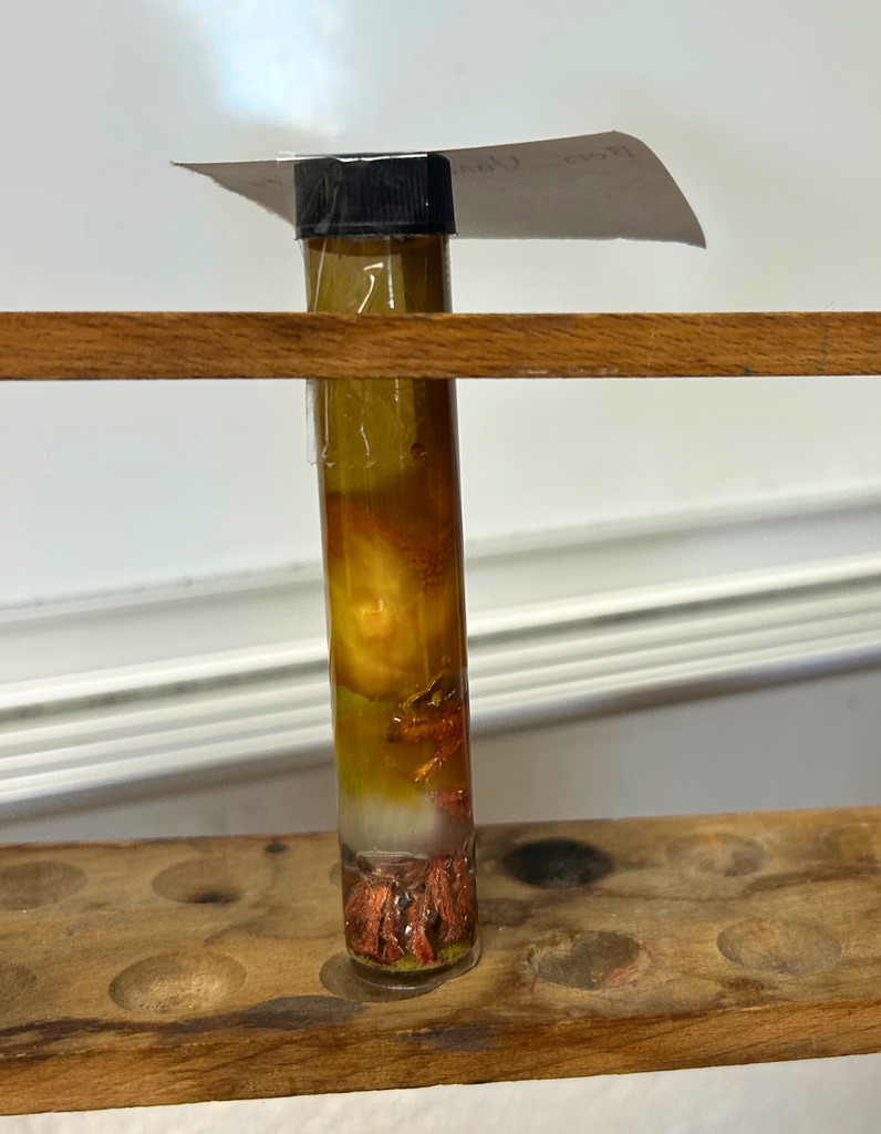 Shown is a test tube. The contents are brown in color. There are crystals growing. 