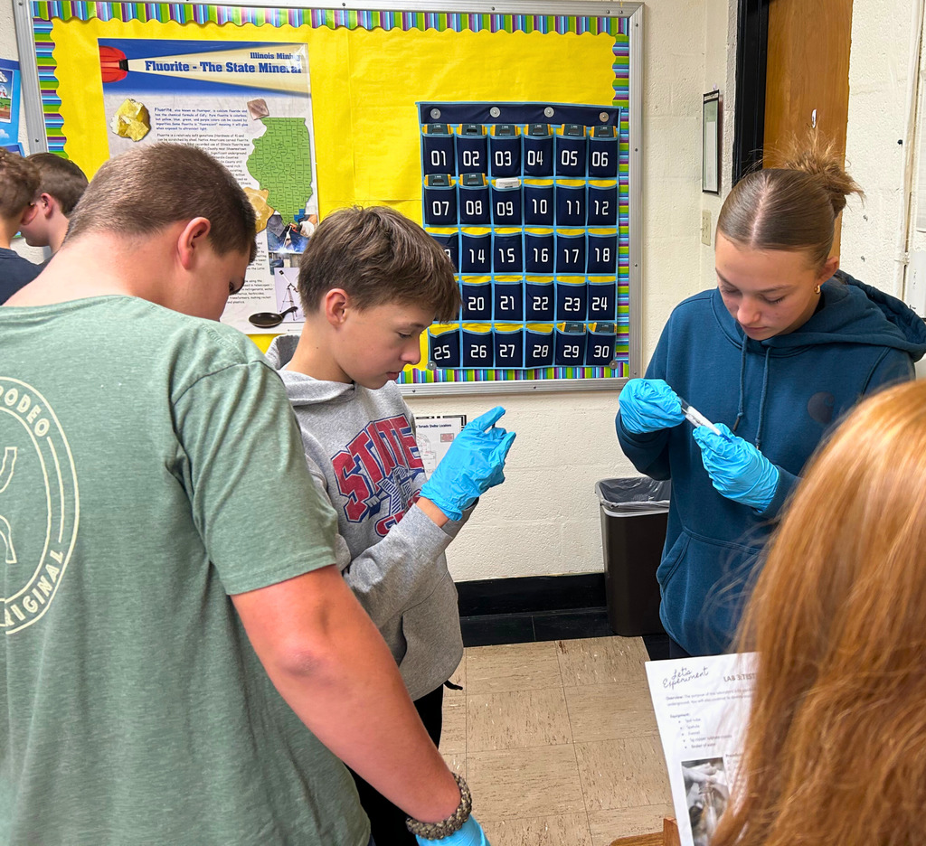 Student are wearing safety goggles and gloves. They are looking at test tubes.