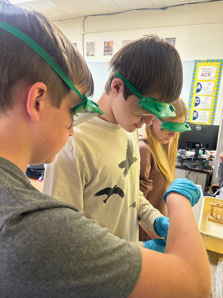 Student are wearing safety goggles and gloves. They are holding something and adding something to it. 