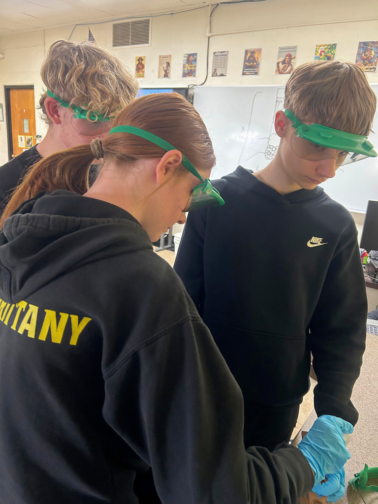 Student are wearing safety goggles and gloves. They are scooping something out of a container.