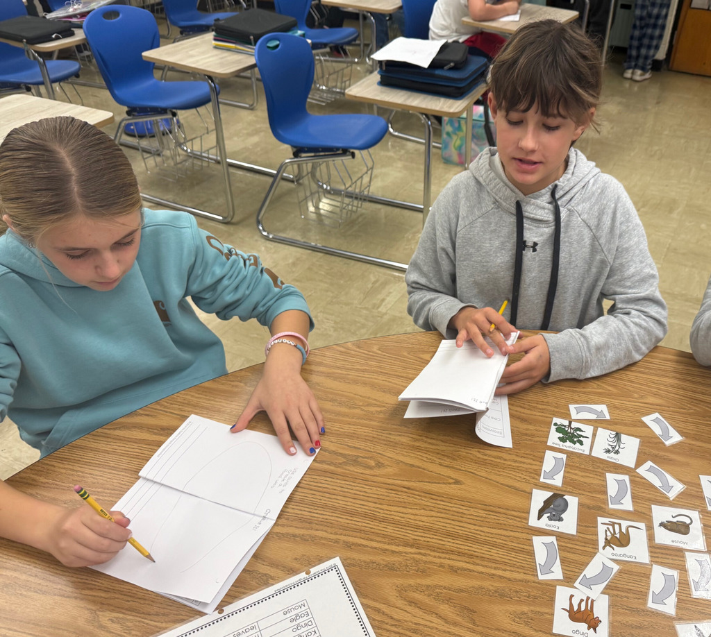 The students are sorting cards to create a food web.