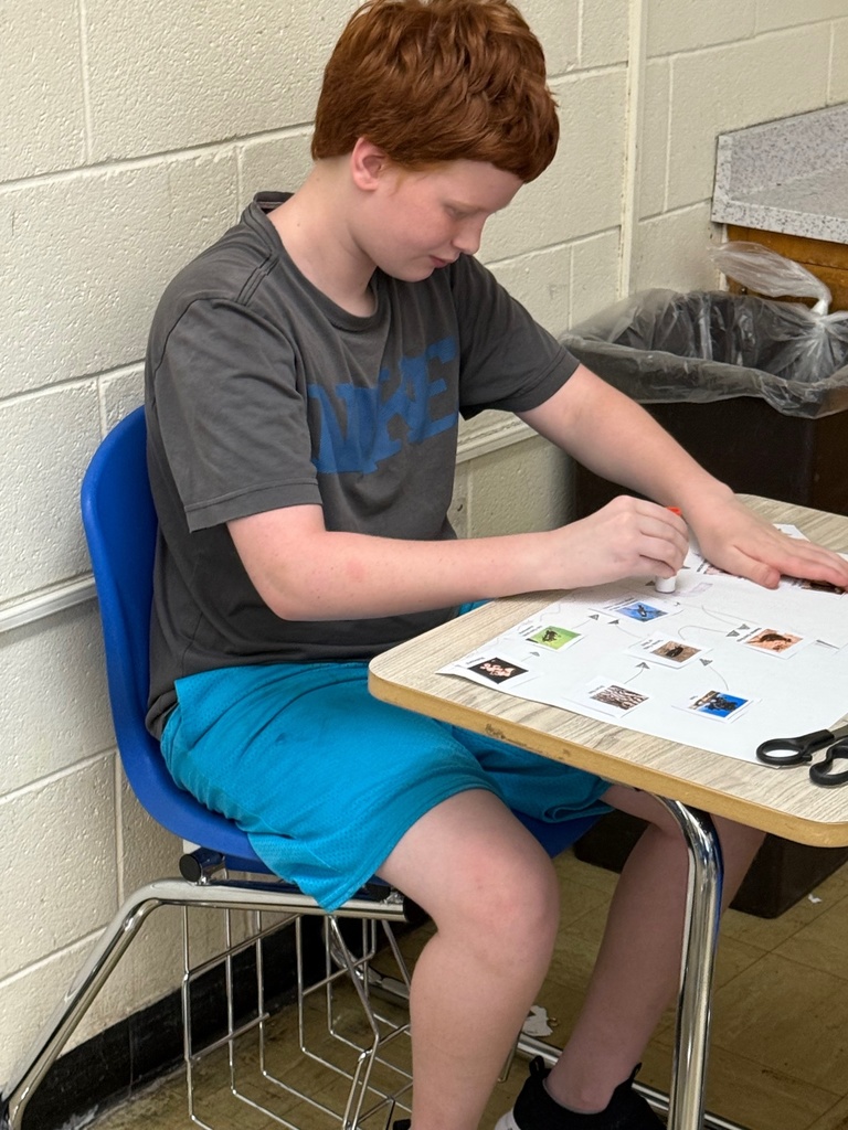 The student is sorting cards to create a food web. The student is drawing arrows to creat the web.