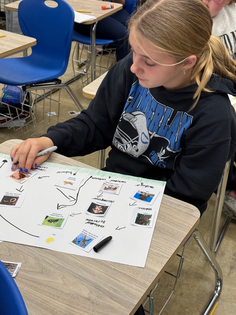 The student is sorting cards to create a food web. The student is drawing arrows to creat the web.