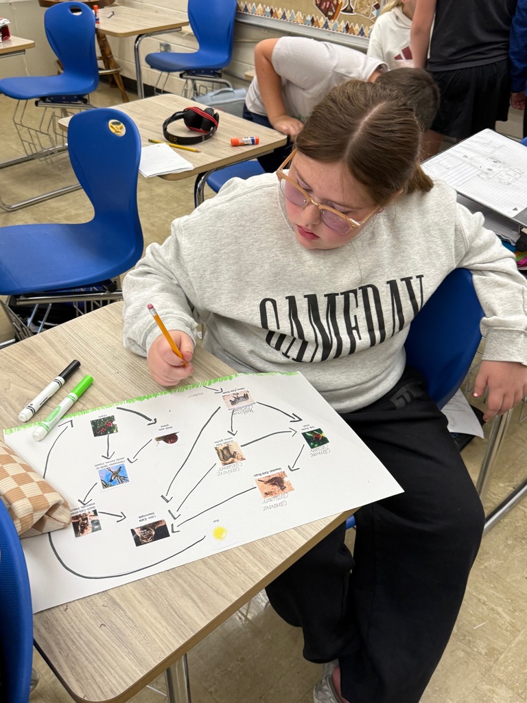 The student is sorting cards to create a food web. The student is drawing arrows to creat the web.