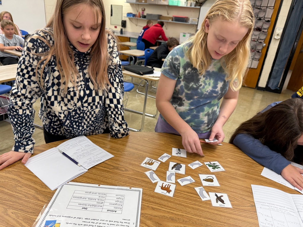 The students are sorting cards to create a food web.