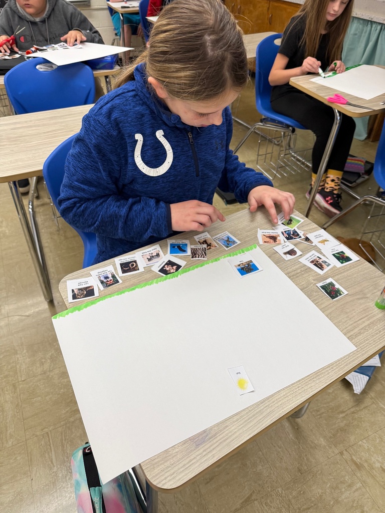 The student is sorting cards to create a food web.