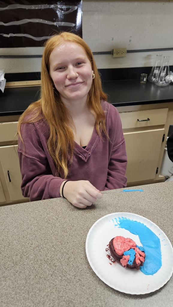 A student is displaying their model of the heart. It has red and blue icing to show the chambers.