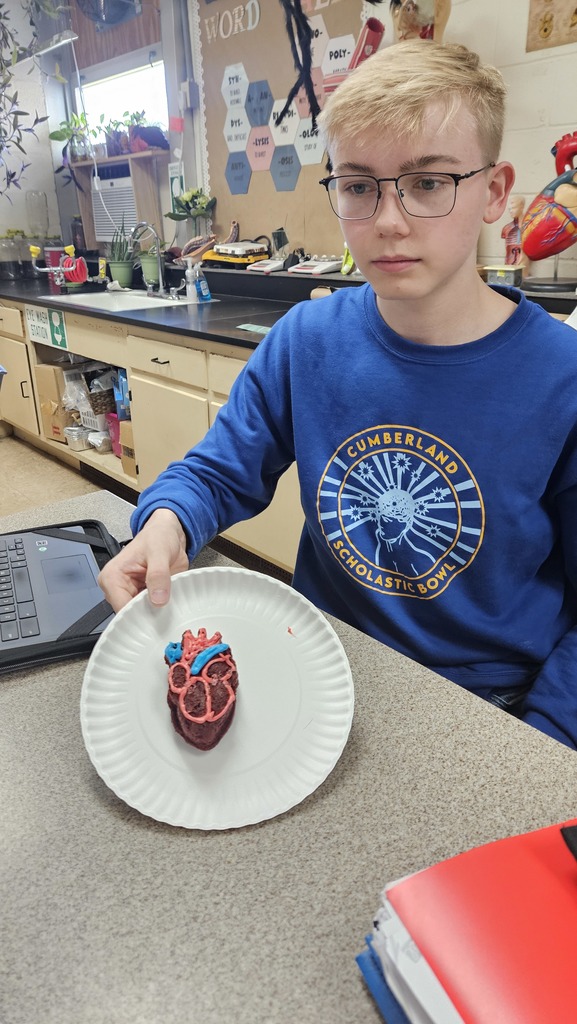 A student is displaying their model of the heart. It has red and blue icing to show the chambers.