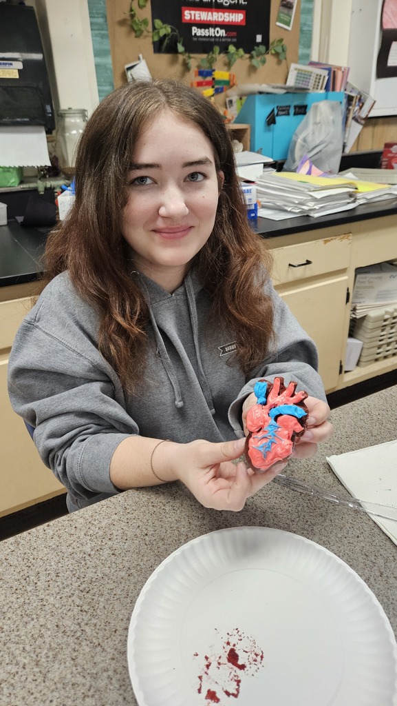 A student is displaying their model of the heart. It has red and blue icing to show the chambers.