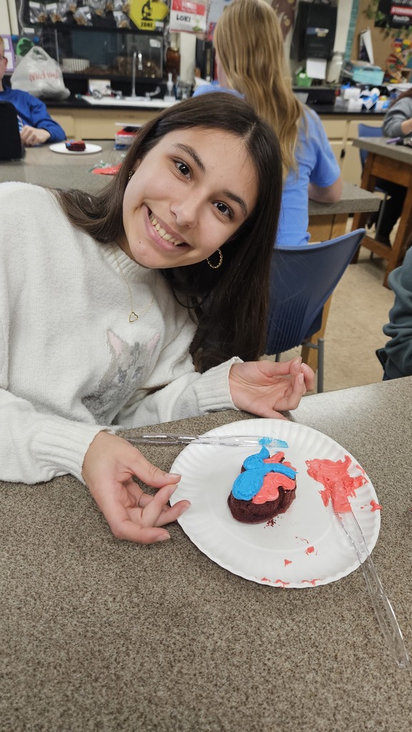 A student is displaying their model of the heart. It has red and blue icing to show the chambers.