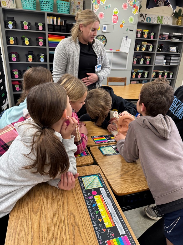 The students are looking at a model of an ear.