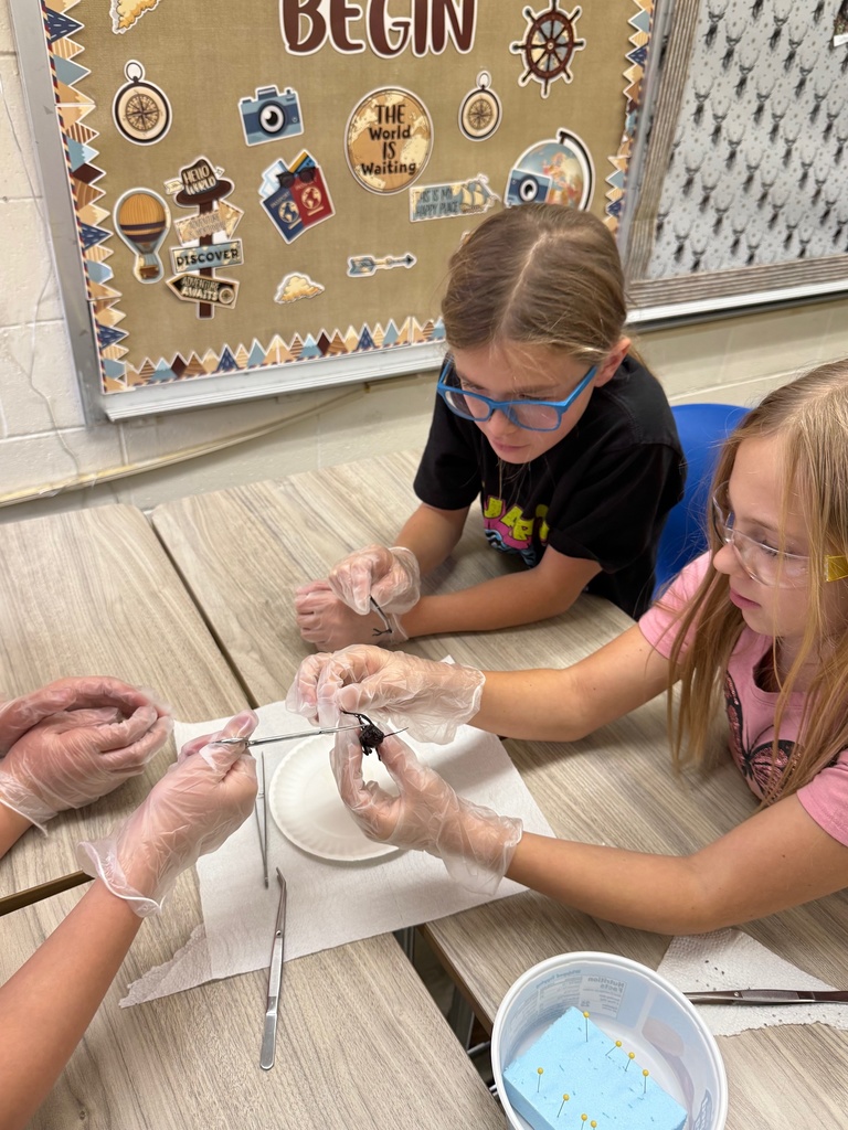 The three students are cutting the legs off of the specimen.