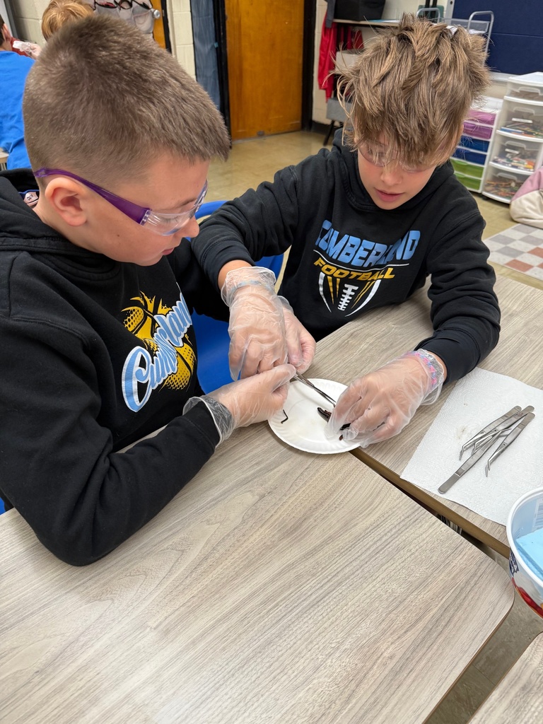 Two students are cutting the legs off of the specimen.