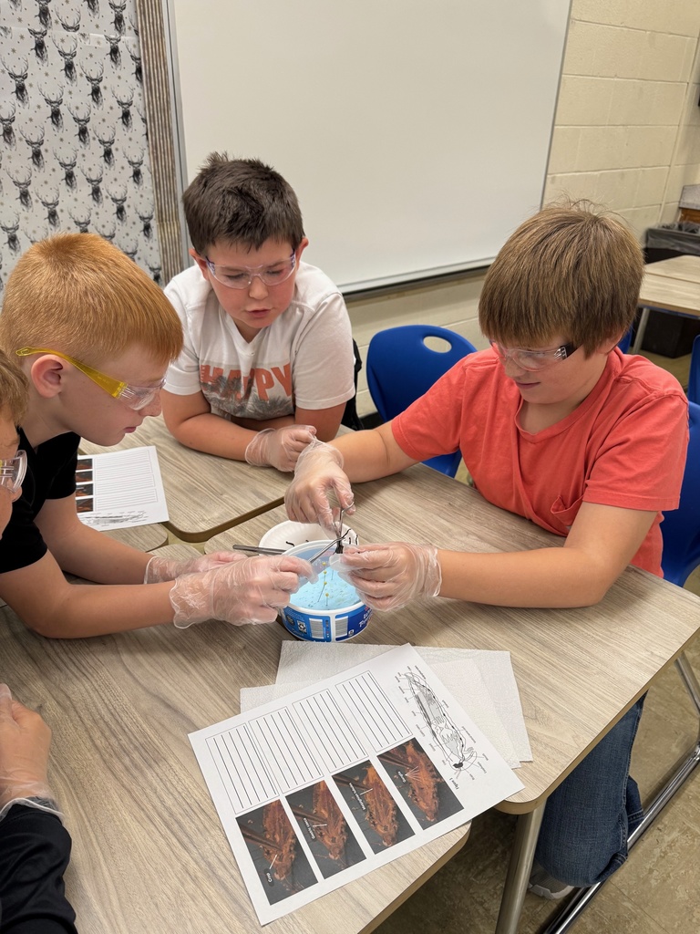 Three students are cutting the legs off of the specimen.