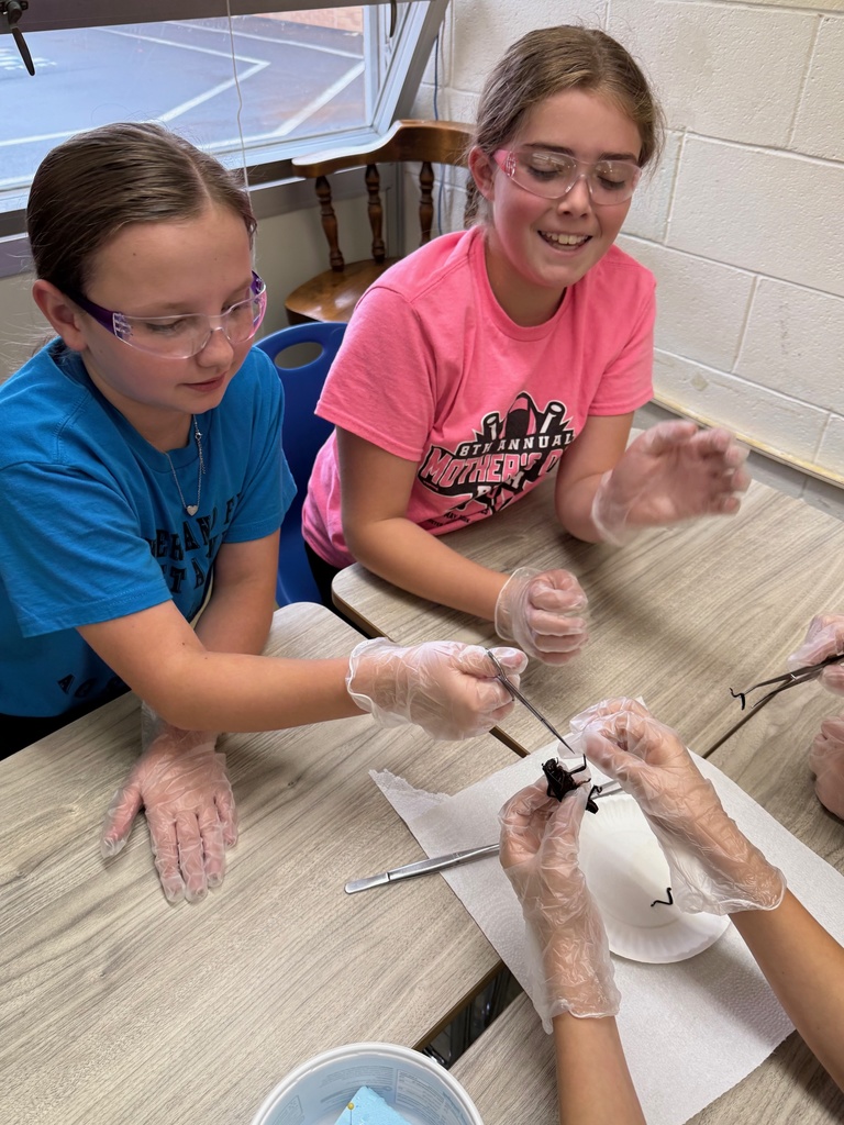 Three students are cutting the legs off of the specimen.