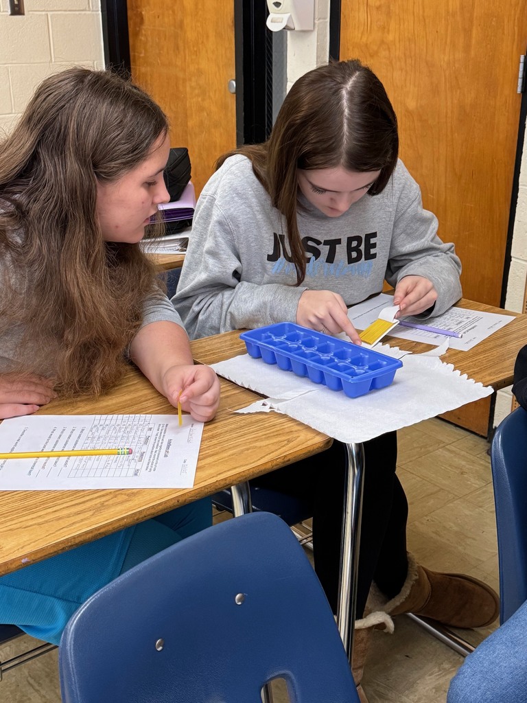 Students are comparing the color of the dipped pH strip with the chart. 