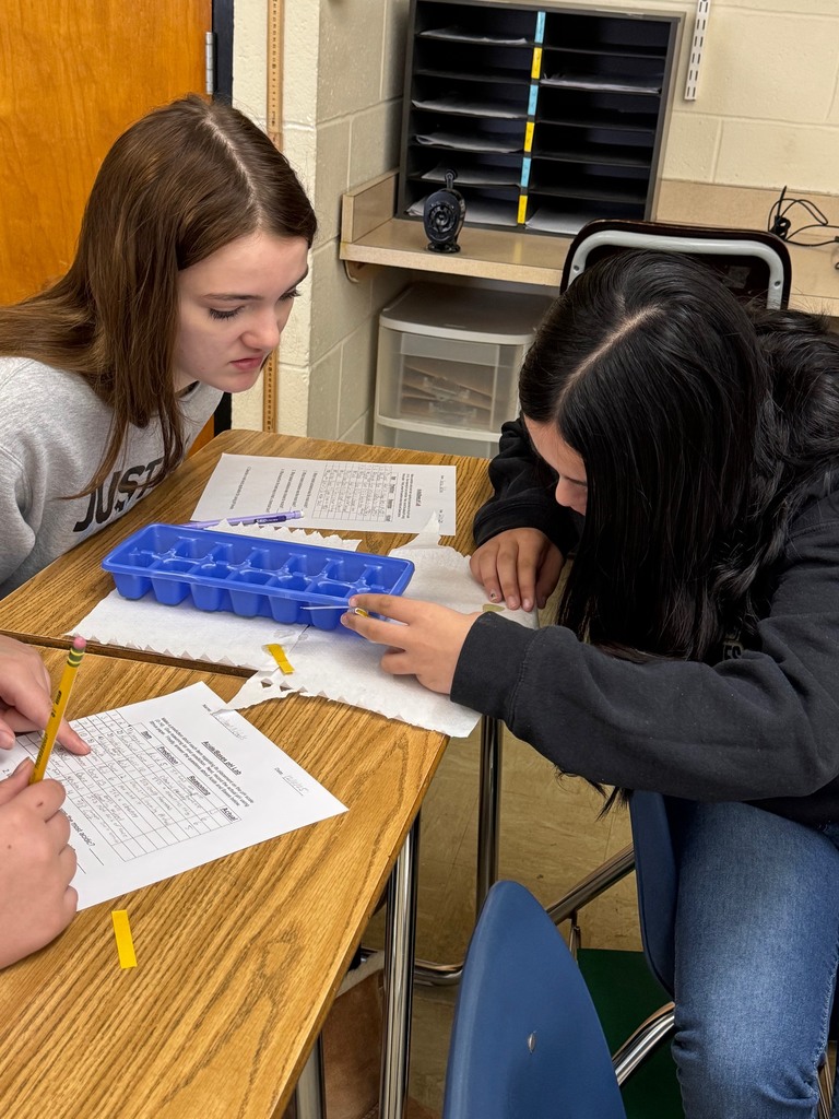 Studens are checking their pH strip's color against the chart. 