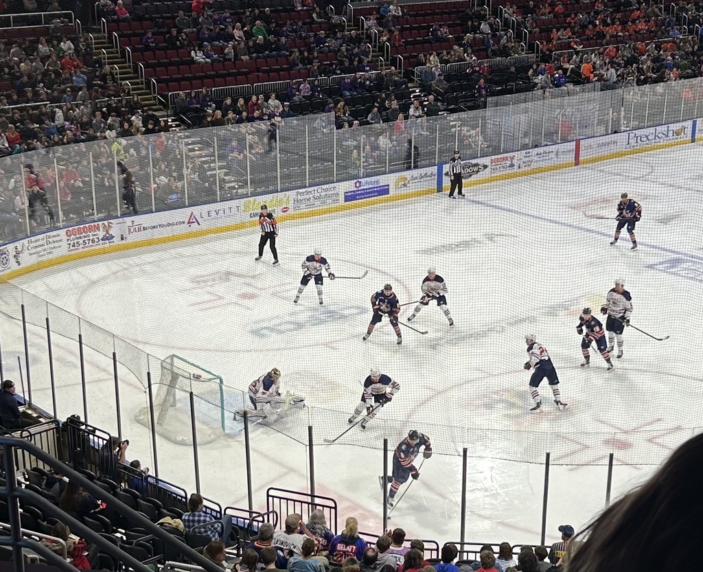 This picture shows the hockey game. 