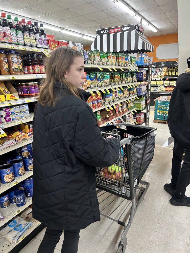 A student is pusing a cart down an aisle at the store. The student is looking at the shelves for items on the list. 