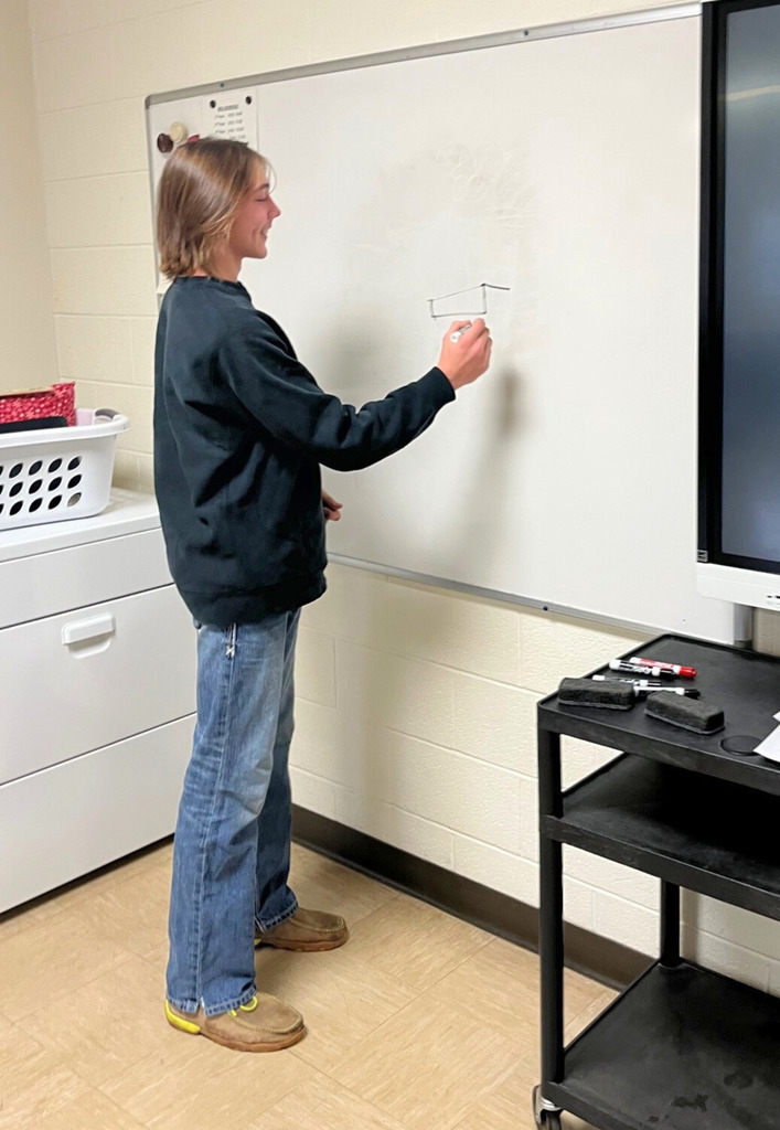 A student is standing at the white board. The student is drawing an object on the board. 
