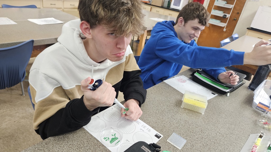 A student is using a pipette to create a character. He is making a sad face because it is not the character he thought it was. 